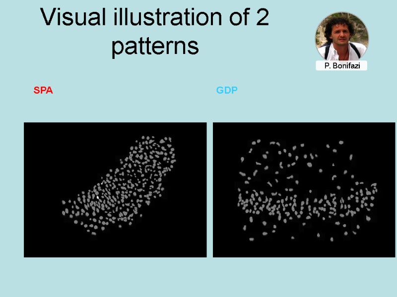 Visual illustration of 2 patterns SPA GDP P. Bonifazi